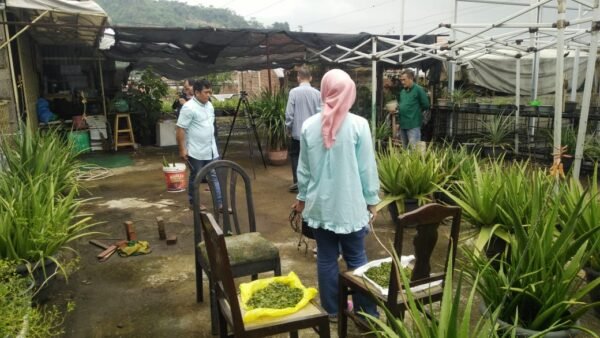 WhatsApp Image 2020-03-18 at 13